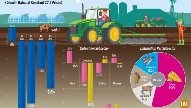 Photo of Agricultural output slumps in Q3
