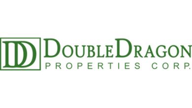 Photo of DoubleDragon transforms into a holding firm