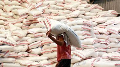Photo of Well-milled rice retail prices fall in four major trading centers