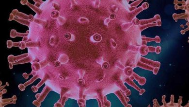 Photo of New coronavirus variant a ‘serious concern’ in South Africa
