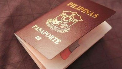 Photo of DFA removes online passport tracker due to data security hole