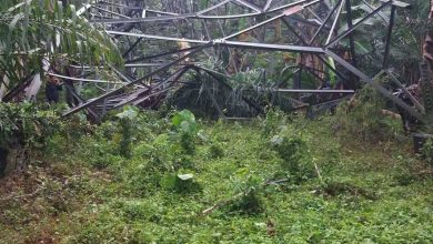 Photo of Power transmission tower in Lanao del Norte bombed