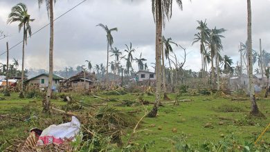 Photo of PCIC estimates crop insurance payout at P828 million in typhoon zone