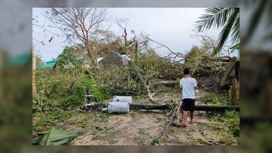 Photo of Deaths, damage from typhoon continue to climb
