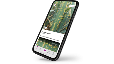 Photo of Digital farming solutions app helps farmers identify pests