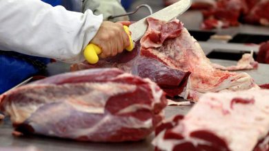 Photo of China meat ambitions to require foreign grain suppliers to step up