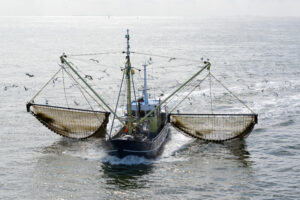Photo of France threatens Britain with customs levies in fishing row