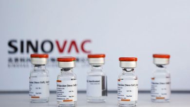 Photo of Longer wait for Sinovac booster improves protection – study