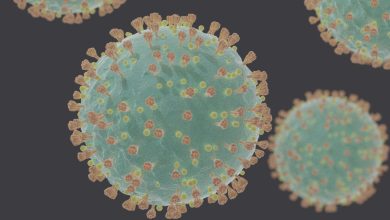 Photo of WHO Official Downplays Coronavirus Variant Found in France