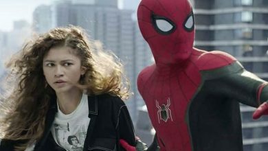 Photo of Spider-Man: No Way Home continues box office domination