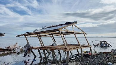 Photo of Typhoon damage to fisheries P3 billion, tops in agri industry