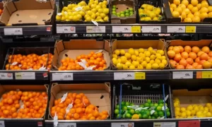 Photo of Slashing food tariffs will not fix UK’s cost of living crisis, warns farmers’ union