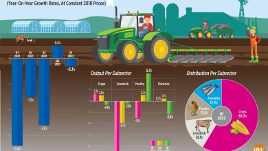 Photo of Agricultural output shrinks in Q1