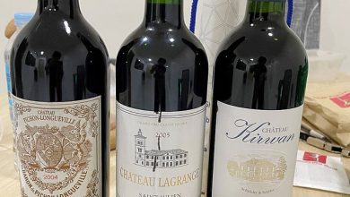 Photo of The Best Medoc Bordeaux Buys