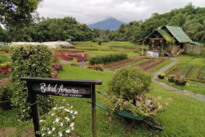 Photo of Want a farm tour? Calabarzon has more than 20 places to choose from