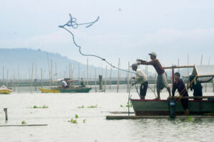Photo of Fisheries output declines in first quarter