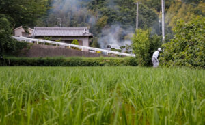 Photo of On Japan’s farms, a weakening yen adds to slow-burning discontent