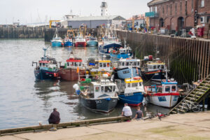 Photo of Rising diesel prices push UK’s fishing industry to the brink