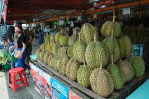 Photo of Davao durian shortage ahead of festival blamed on climate change