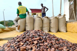 Photo of Ghana parliament approves $1.3-B loan to buy cocoa