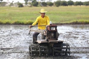 Photo of PhilMech to provide P5B worth of equipment to rice farmers