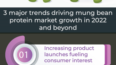 Photo of 3 Prominent Trends Aiding Mung Bean Protein Market Penetration Through 2028