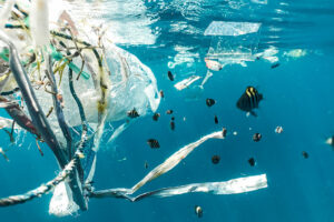 Photo of Plastic-munching bacteria offer hope for recycling