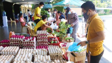 Photo of Agri dep’t to expand farm-to-consumer market chain 