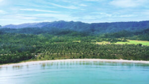 Photo of What makes San Vicente, Palawan the next best investment destination