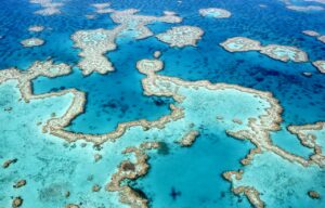 Photo of Parts of Australia’s Great Barrier Reef show highest coral cover in 36 years