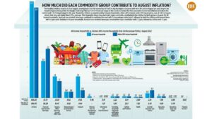 Photo of How much did each commodity group contribute to August inflation?