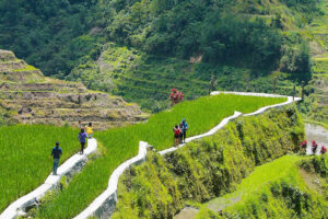 Photo of Access roads for upland farms completed in Ifugao province
