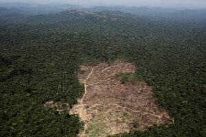 Photo of Colombia Amazon deforestation rose in first half of the year