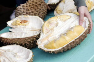 Photo of China inspectors clear way for imports of Philippine durian