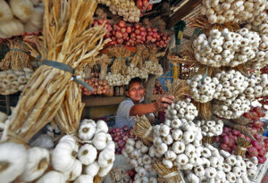 Photo of Garlic crop needs to be fortified against pests, agri chamber says