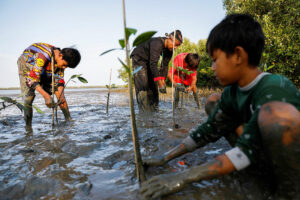 Photo of Indonesia mangrove restoration engages coastal villagers