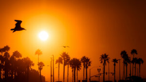 Photo of California temperatures soar to new records, adding strain to power grid