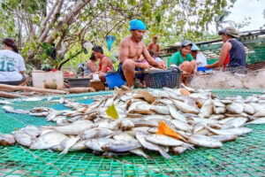 Photo of Conservation NGO calls for crackdown on illegal fishing, suspension of fish imports