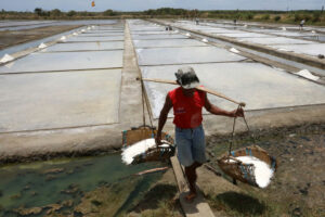 Photo of Salt industry output seen held back by reclamation, import competition