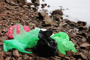 Photo of ‘A big moment’: Wales expected to ban single-use plastic carrier bags