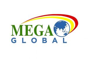 Photo of Mega Global creates unit for entire product portfolio