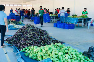 Photo of Davao Food Terminal targets stronger farm-to-consumer link