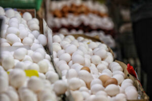 Photo of Soaring egg prices force French food industry to change recipes
