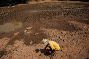 Photo of Farmers regenerating soil in frantic race to save ‘skin of the Earth’