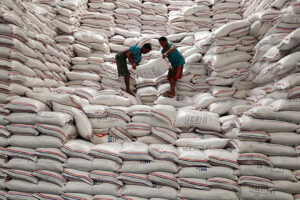 Photo of Rice inventory up 6.5% as of Oct. 1 