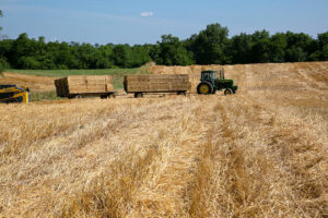 Photo of End of cheap money for US farmers plows trouble into food production