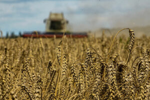 Photo of Ukraine grain export plan to ship food aid to vulnerable countries