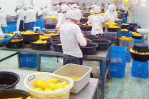 Photo of PHL manufacturing output growth slows in September