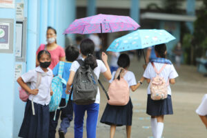 Photo of Scrap K-12 in next decade, senator urges government