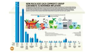 Photo of How much does each commodity group contribute to November inflation?